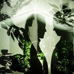 42195221 2453852274641683 5185841520049127424 o