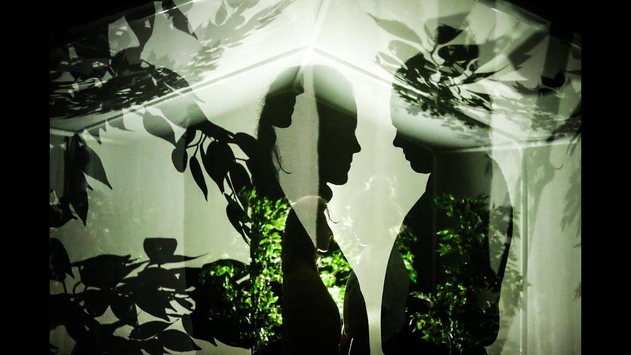 Brothers & Sisters Trailer